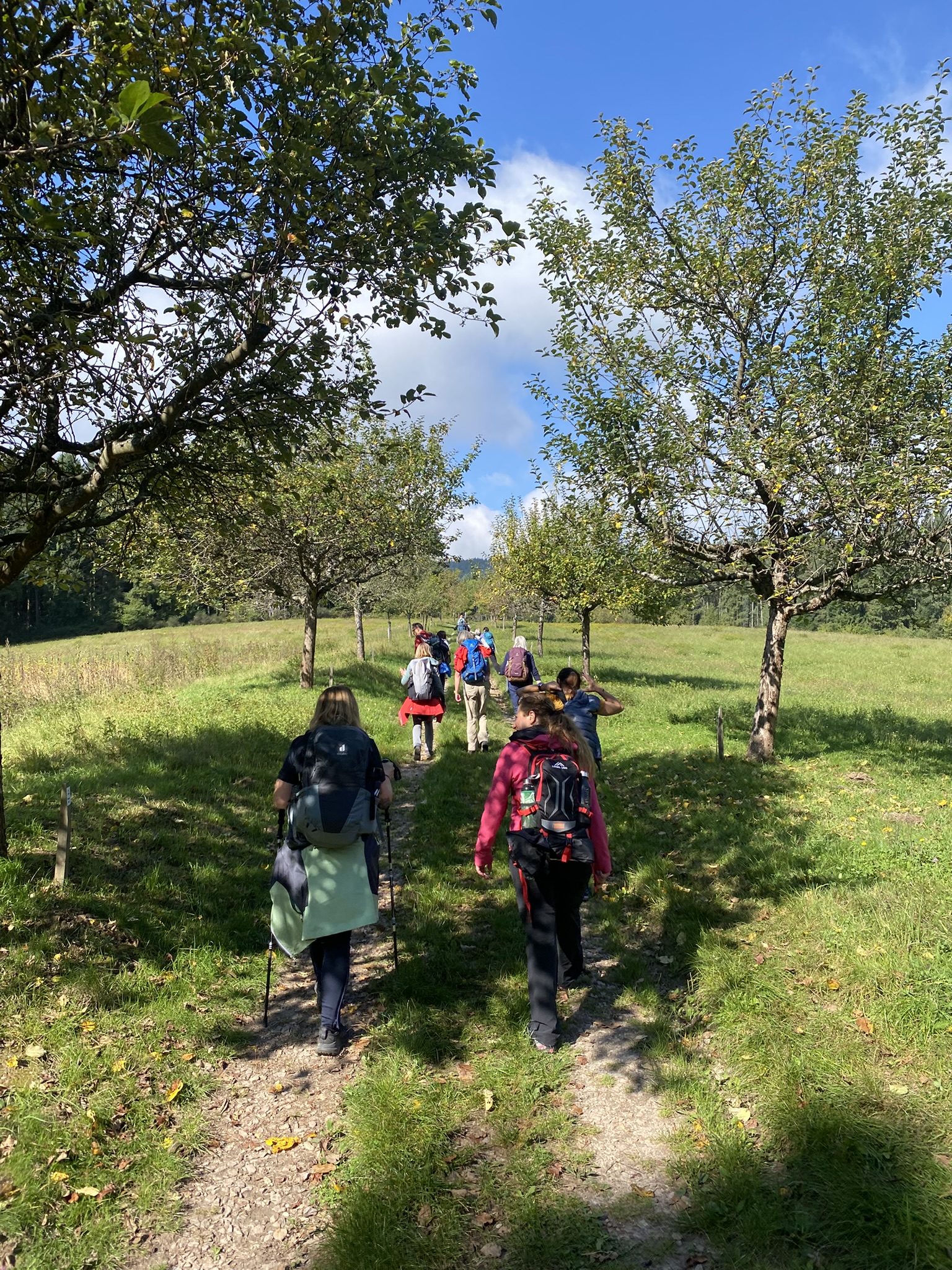 Wandertour durch das Rheingau